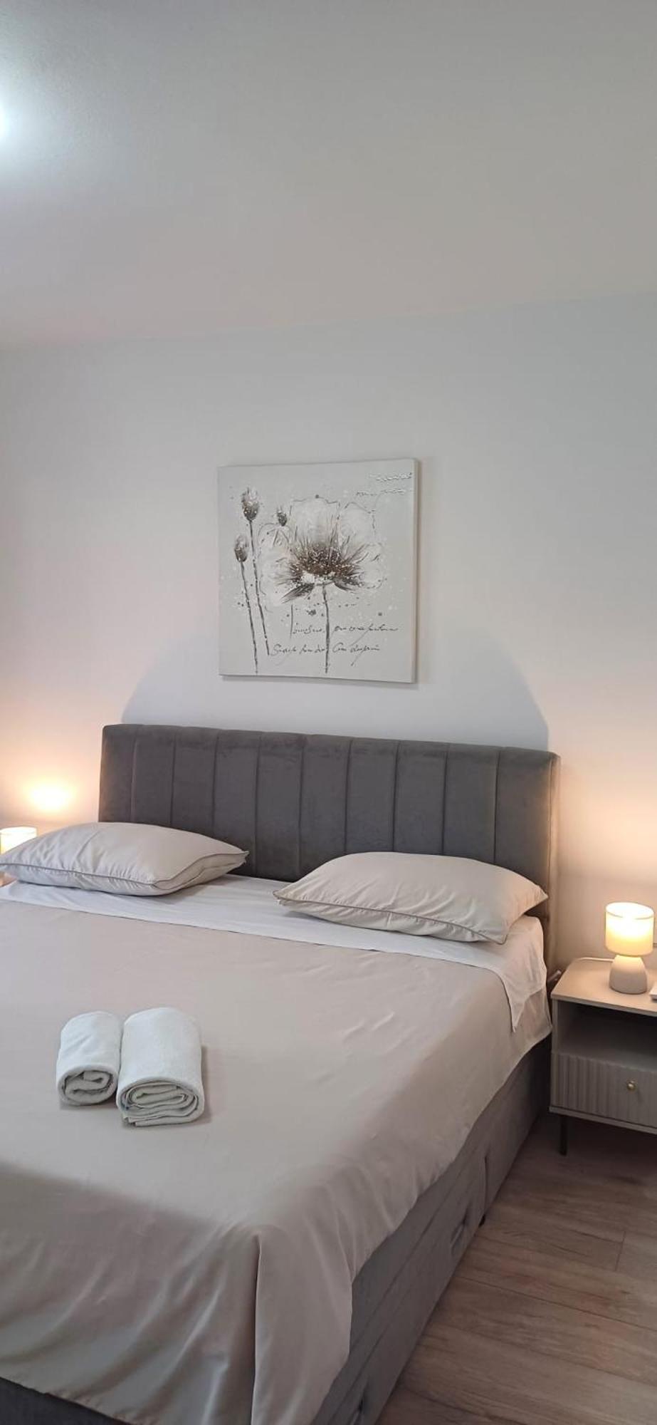 Apartment Visnja Zara Esterno foto
