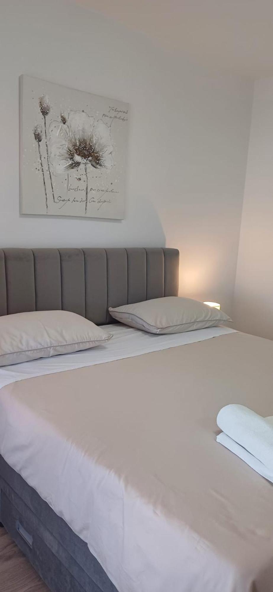 Apartment Visnja Zara Esterno foto